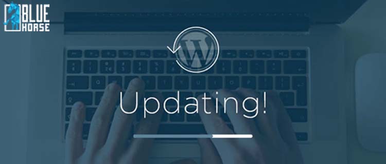 Keeping WordPress Updated