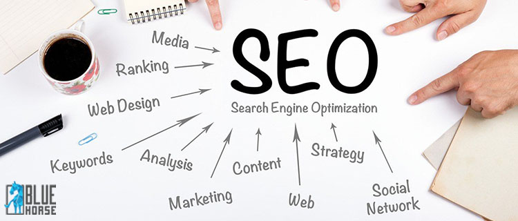 SEO Ranking