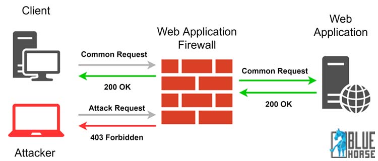 16. Scanning WordPress for Malware and Vulnerabilities