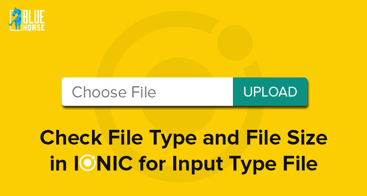 How To Check File Type and File Size in Ionic