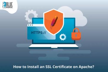 https://wip.tezcommerce.com:3304/admin/iUdyog/blog/27/how-to-install-ssl-certificate-on-apache-jpg.jpg